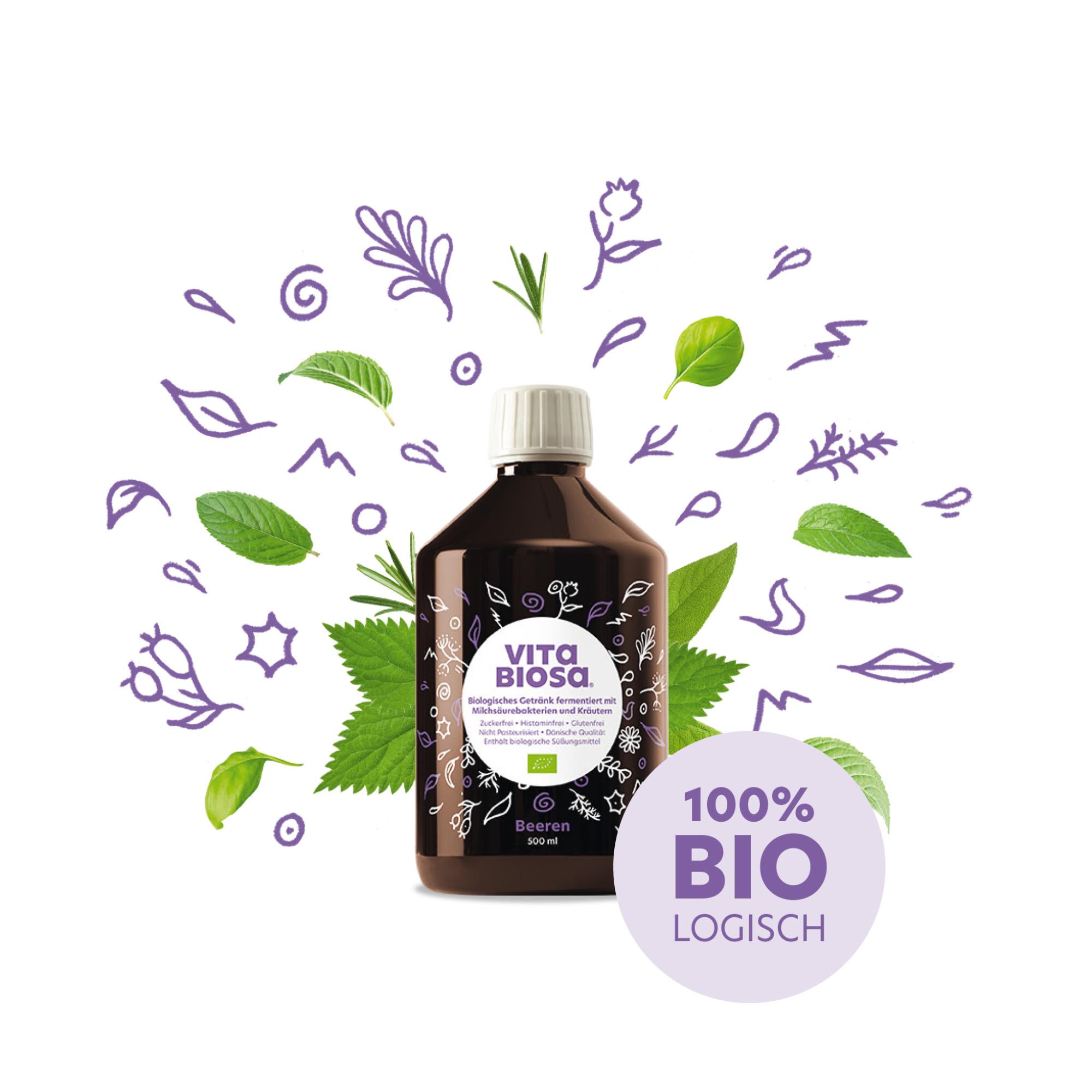 Vita Biosa Beeren 500ml Milchsaeurebakterien kaufen front